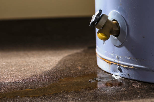 Best Water damage cleanup near me  in Palos Park, IL