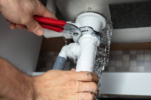 Best Mold removal after water damage  in Palos Park, IL