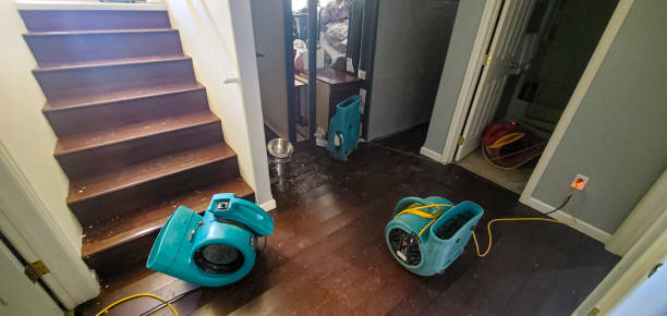 Best Flooded house restoration  in Palos Park, IL