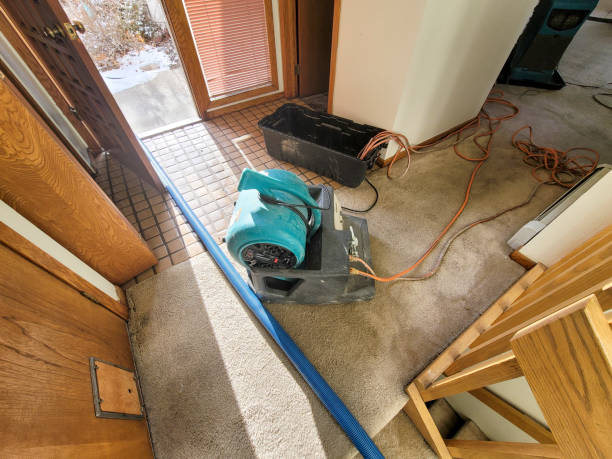 Best Flood damage cleanup  in Palos Park, IL