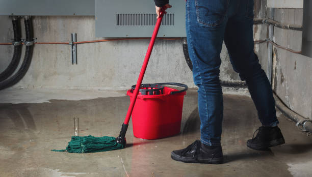 Best Local water damage restoration  in Palos Park, IL