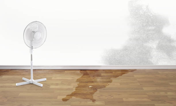 Best 24-hour water damage restoration  in Palos Park, IL