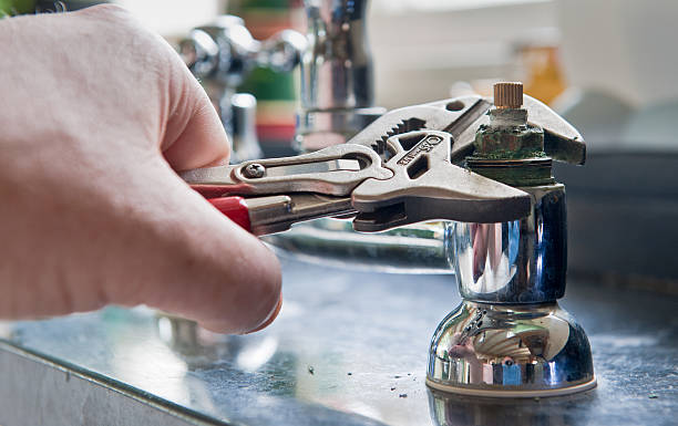 Best Mold removal after water damage  in Palos Park, IL