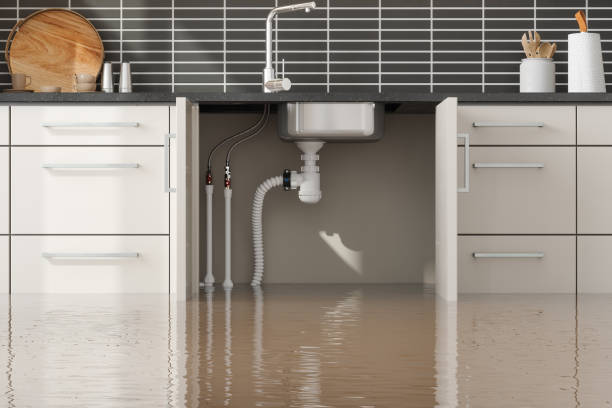 Best Residential water damage restoration  in Palos Park, IL