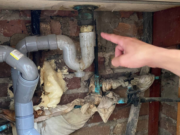 Best Emergency water damage restoration  in Palos Park, IL