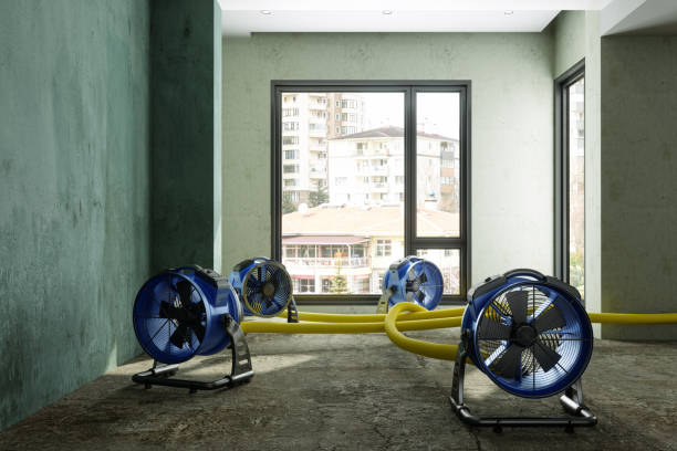 Best Ceiling water damage repair  in Palos Park, IL