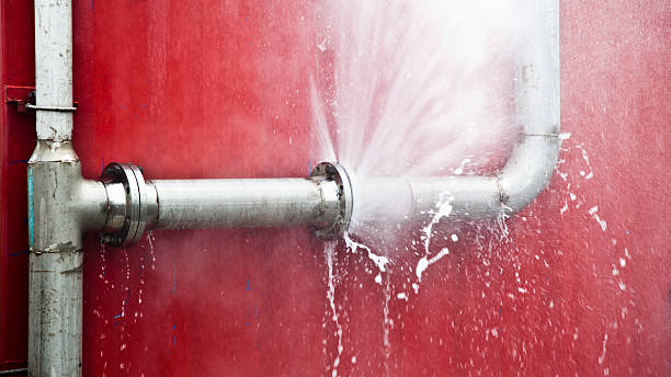 Best Professional water damage repair  in Palos Park, IL
