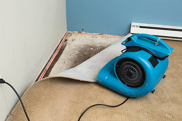 Best Basement water damage restoration  in Palos Park, IL